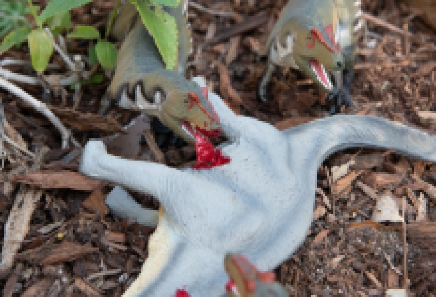 Popular Mini-diorama Dinosaur Exhibit Returns to Museum 