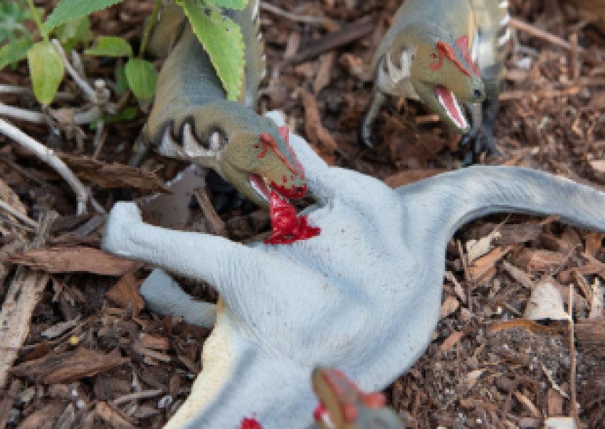 Popular Mini-diorama Dinosaur Exhibit Returns to Museum 