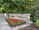 We Cannot Look Away from Cornell