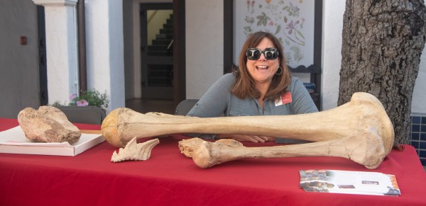 Science Week Display Printable Earth Science Week at Museum Features Fossils, Minerals, Maps, and More ...