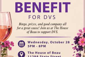 Fundraiser for Domestic Violence Solutions