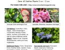 Mesa Harmony Garden Fall Plant Sale Continues…