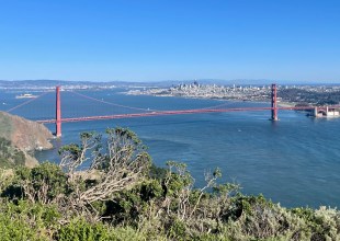 San Francisco, Unscripted