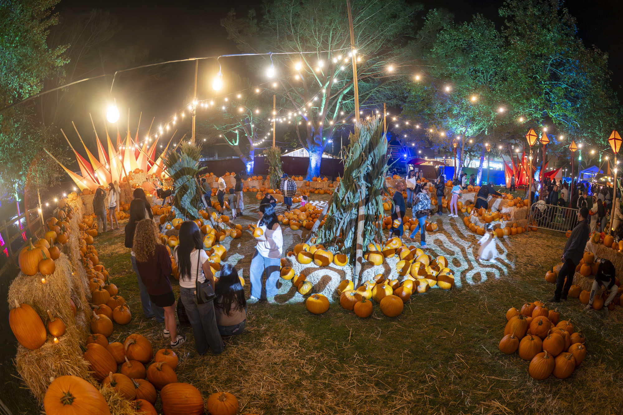 S.B.'s Most Comprehensive Guide to this Year's Spirited Season