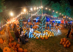 S.B.’s Most Comprehensive Guide to this Year’s Spirited Season 