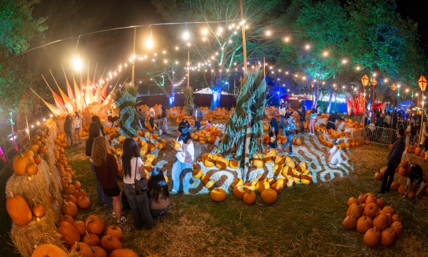 S.B.’s Most Comprehensive Guide to this Year’s Spirited Season 