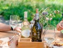 Vent’Anni: Celebrating Grassini’s 20th Harvest