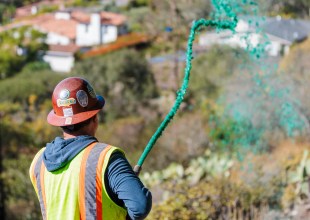 Franceschi Park Opens New Trails, Exposes Hidden Secrets 