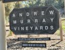 The Andrew Murray Trio Is Not a Jazz Group!