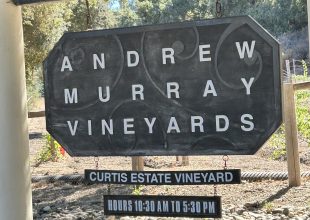 The Andrew Murray Trio Is Not a Jazz Group!