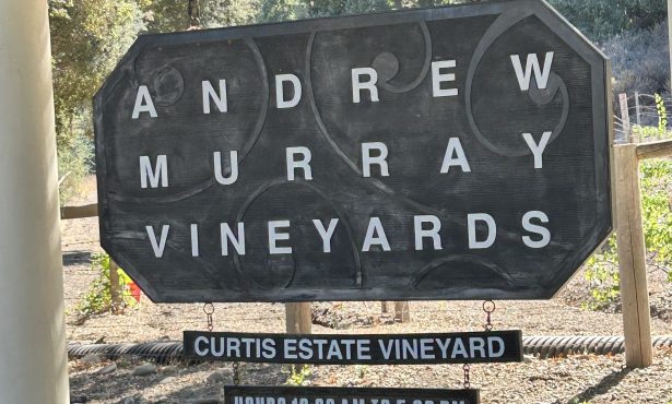 The Andrew Murray Trio Is Not a Jazz Group!