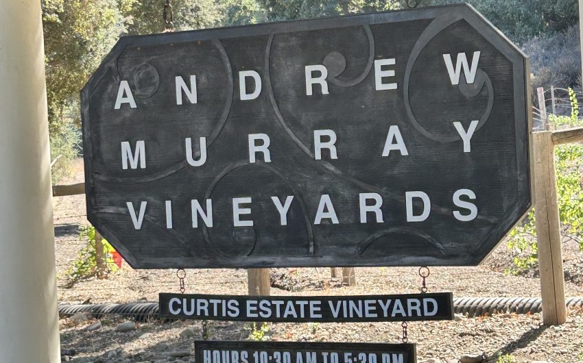 The Andrew Murray Trio Is Not a Jazz Group!