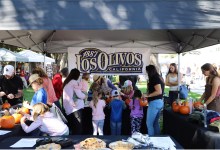Celebrating Country Roots