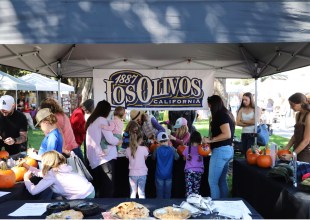 Celebrating Country Roots