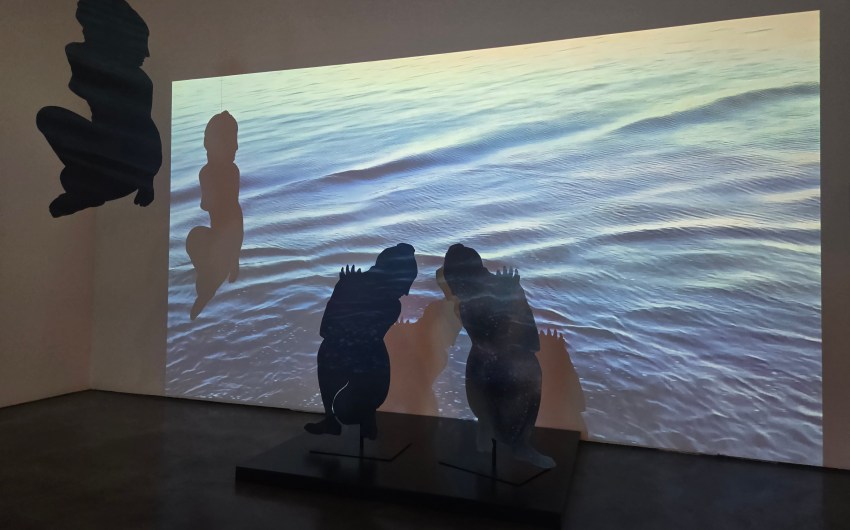 Art that Moves