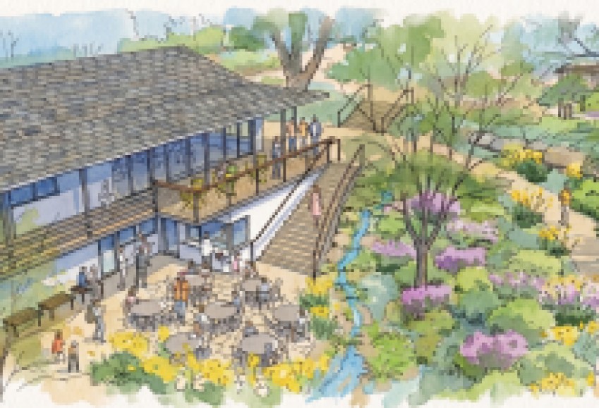 Santa Barbara Botanic Garden Announces $30M Centennial Campaign to Advance its Next Century of Conservation & Community Impact