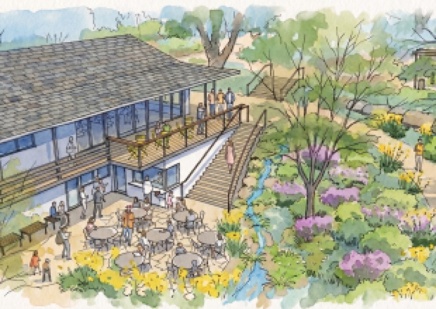 Santa Barbara Botanic Garden Announces $30M Centennial Campaign to Advance its Next Century of Conservation & Community Impact