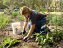 Certificación en Paisajismo con Plantas Nativas de