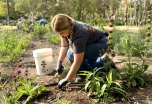 Certificación en Paisajismo con Plantas Nativas de