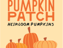 Montecito Country Mart Pumpkin Patch