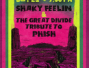 Shaky Feelin & The Great Divide (Tribute to Phish)