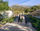 Fall Plant Sale 2026