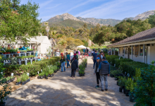 Fall Plant Sale 2026