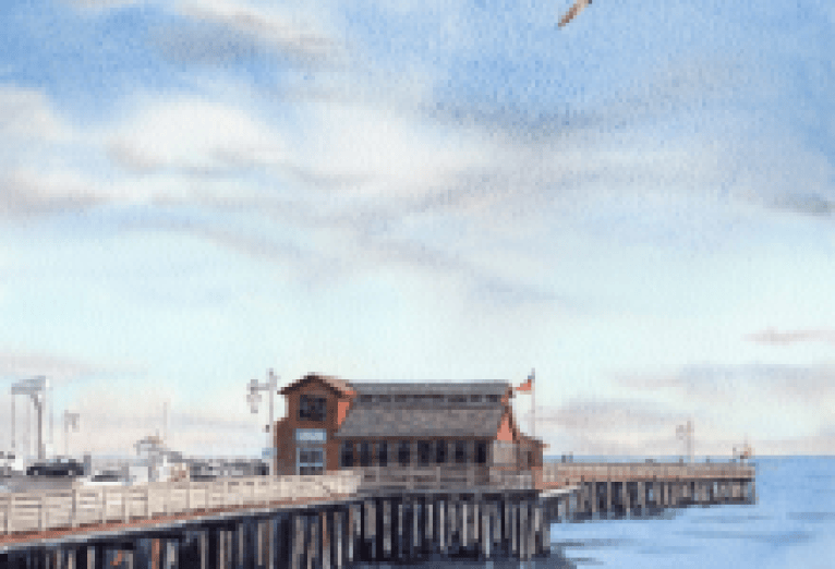 Birds of the Central Coast — Watercolors by Kelly Hildner, November Artist of the Month at Gallery 113