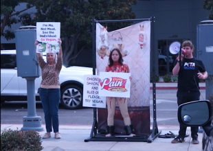 ‘Scream If You Love Raising Canes’