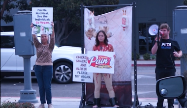 ‘Scream If You Love Raising Canes’