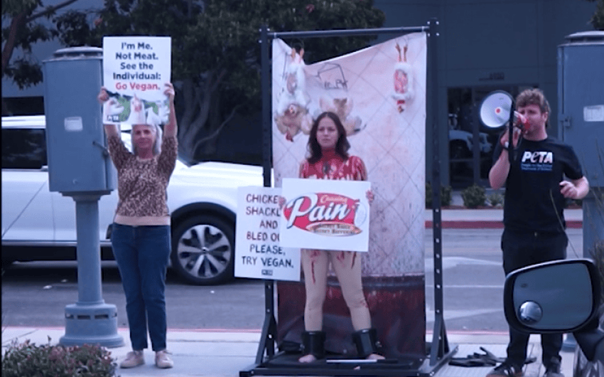 ‘Scream If You Love Raising Canes’