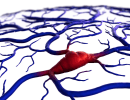 Brain Surgery by Autonomous Robot? It’s Possible — and Could Save Lives