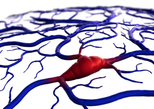 Brain Surgery by Autonomous Robot? It’s Possible — and Could Save Lives