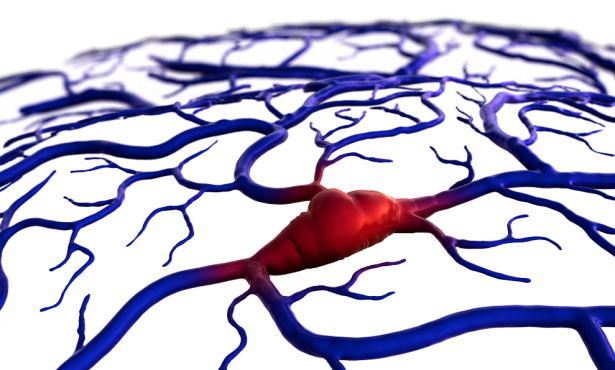 Brain Surgery by Autonomous Robot? It’s Possible — and Could Save Lives