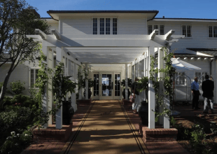 Poodle’s Plan B for Housing Crisis: Tax the Tourists