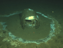 Congressmembers Carbajal, Padilla Introduce Bill to Investigate Toxic Waste Dumping off California Coast