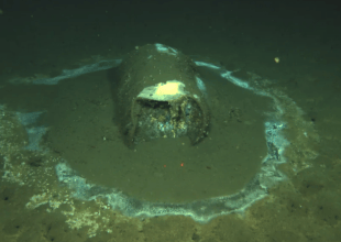 Congressmembers Carbajal, Padilla Introduce Bill to Investigate Toxic Waste Dumping off California Coast
