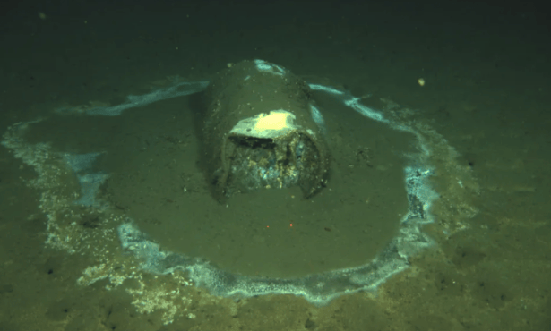 Congressmembers Carbajal, Padilla Introduce Bill to Investigate Toxic Waste Dumping off California Coast
