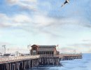 Gallery 113: Watercolors by Kelly Hildner – “Birds of the Central Coast”