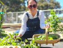 UC Master Gardeners at Montecito Library