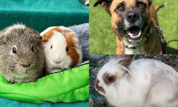 Grayson & Victor, Madison, and Bubz