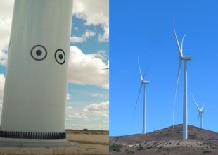 Will Eyes on Lompoc Wind Farm’s Towers Bring Down Bird Deaths?