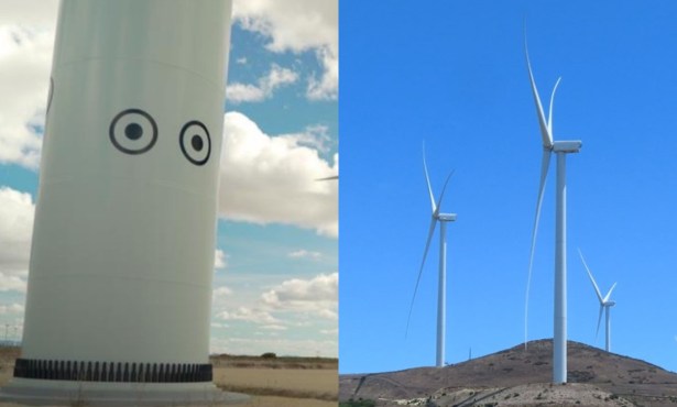 Will Eyes on Lompoc Wind Farm’s Towers Bring Down Bird Deaths?