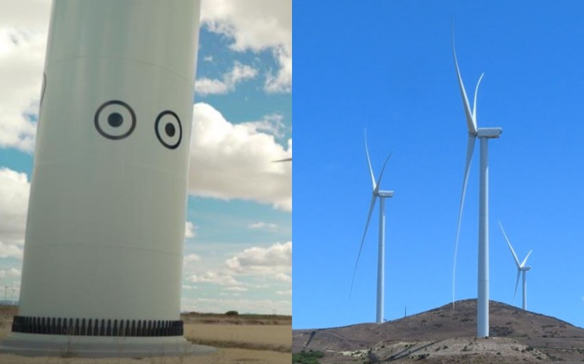Will Eyes on Lompoc Wind Farm’s Towers Bring Down Bird Deaths?
