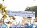 Carpinteria Hosts a Lively Scene of Avocado Green