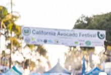 Carpinteria Hosts a Lively Scene of Avocado Green