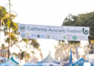 Carpinteria Hosts a Lively Scene of Avocado Green