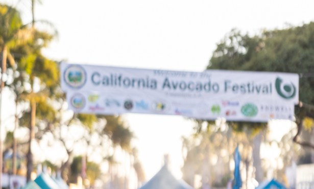 Carpinteria Hosts a Lively Scene of Avocado Green