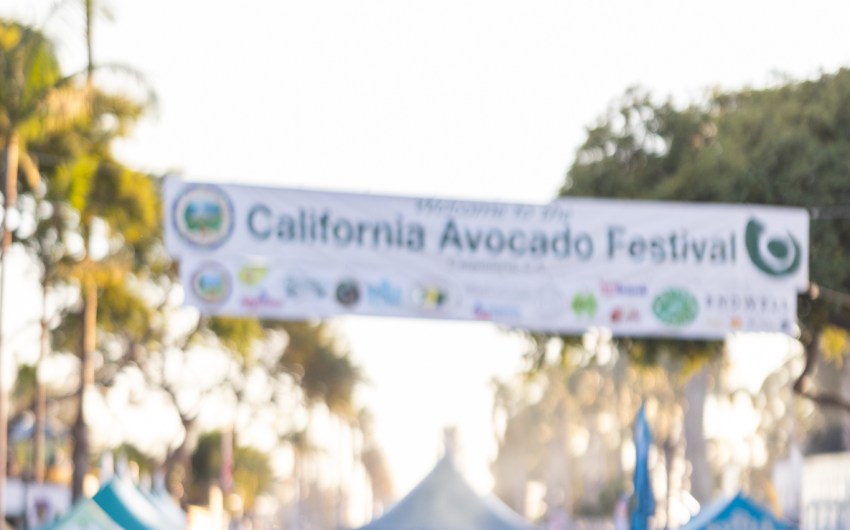 Carpinteria Hosts a Lively Scene of Avocado Green