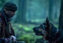 Man’s Best Friendly Survival Saga